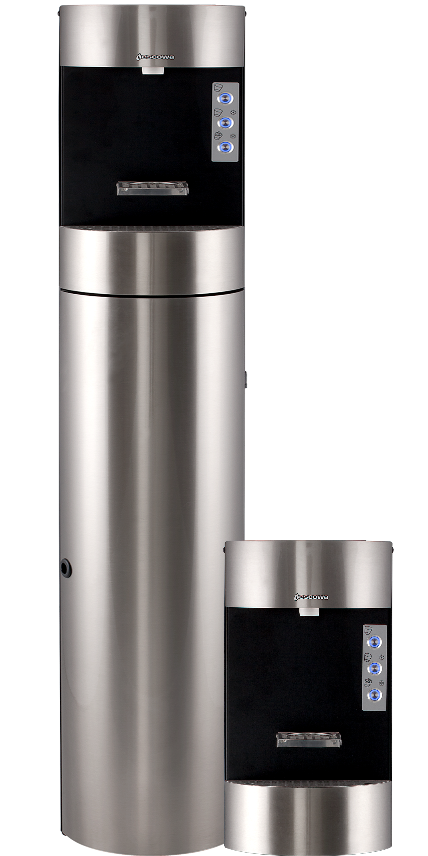 Escowa pollux