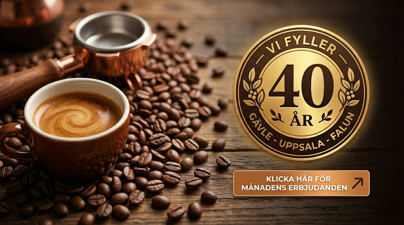 Gävle Erbjudande 40